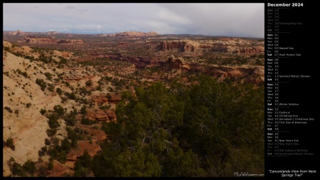 Canyonlands View from Neck Springs Trail