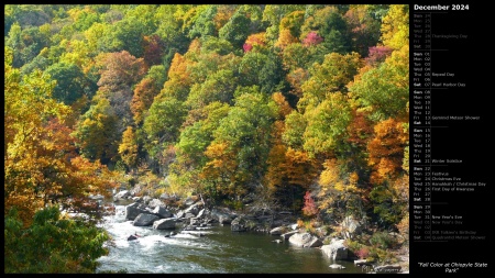 Fall Color at Ohiopyle State Park