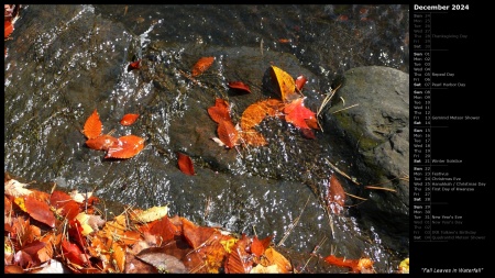 Fall Leaves in Waterfall