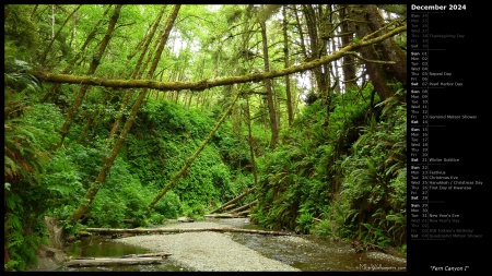 Fern Canyon I