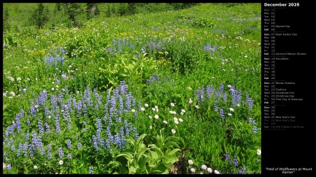 Field of Wildflowers at Mount Rainier