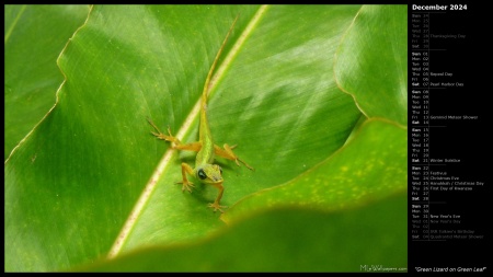 Green Lizard on Green Leaf