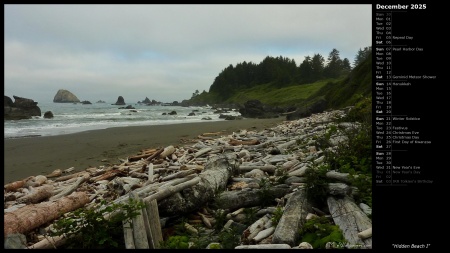 Hidden Beach I