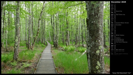 Jesup Path Boardwalk Trail