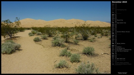 Kelso Dunes