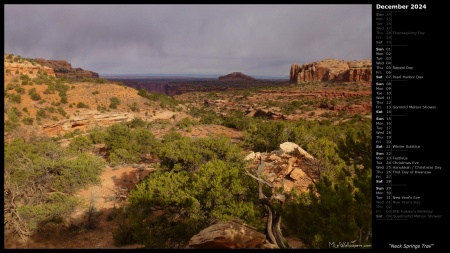 Neck Springs Trail