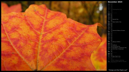 Orange and Red Maple Leaf