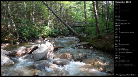 Pemigewasset River Bridge