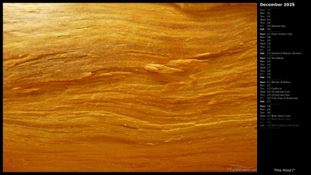 Pine Wood I