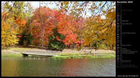 Seven Springs Fall Bridge III