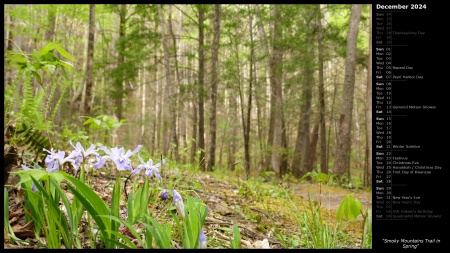 Smoky Mountains Trail in Spring