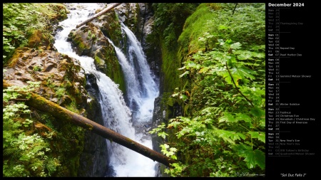 Sol Duc Falls I