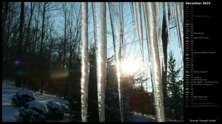 Sunrise Through Icicles