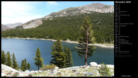 Tenaya Lake