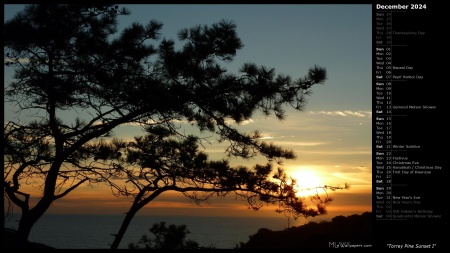 Torrey Pine Sunset I