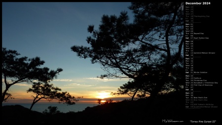 Torrey Pine Sunset III