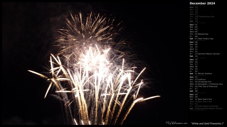 White and Gold Fireworks I