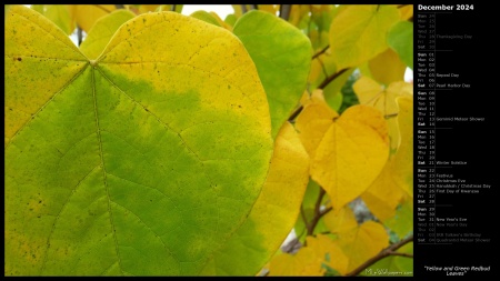 Yellow and Green Redbud Leaves