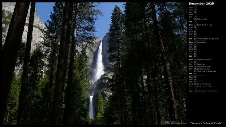 Yosemite Falls and Woods