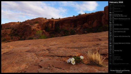 Arches Slickrock and Evening Primrose