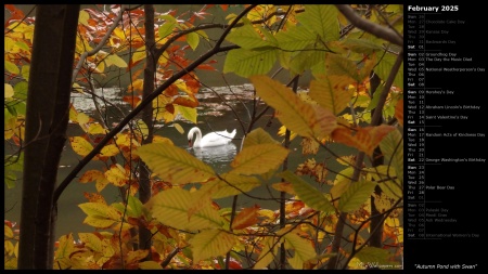 Autumn Pond with Swan