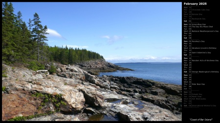 Coast of Bar Island