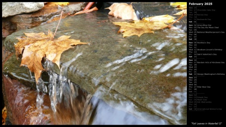 Fall Leaves in Waterfall II