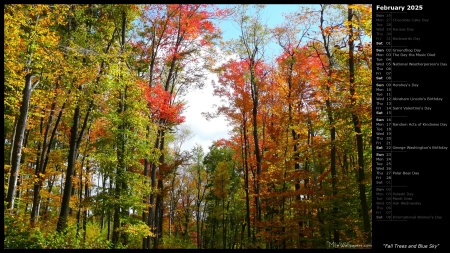 Fall Trees and Blue Sky