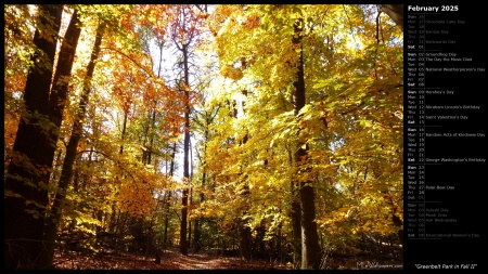 Greenbelt Park in Fall II