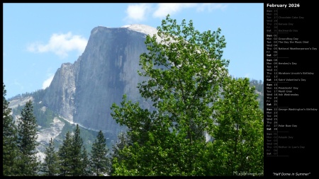 Half Dome in Summer