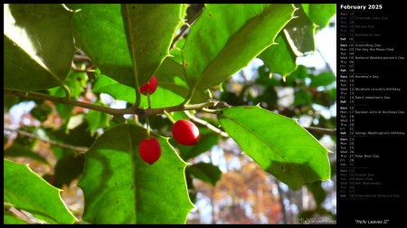 Holly Leaves II