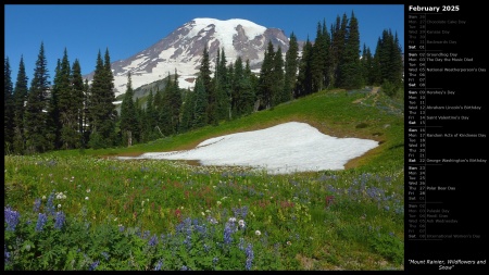 Mount Rainier, Wildflowers and Snow