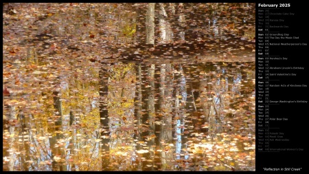 Reflection in Still Creek