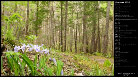 Smoky Mountains Trail in Spring