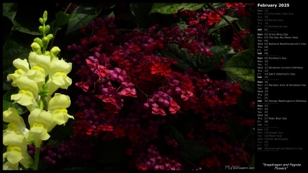 Snapdragon and Pagoda Flowers