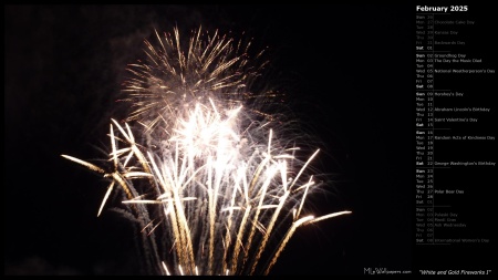 White and Gold Fireworks I