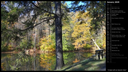 A Seat with an Autumn View