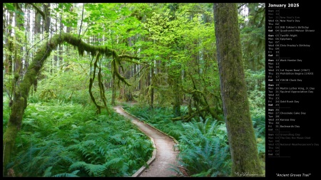 Ancient Groves Trail