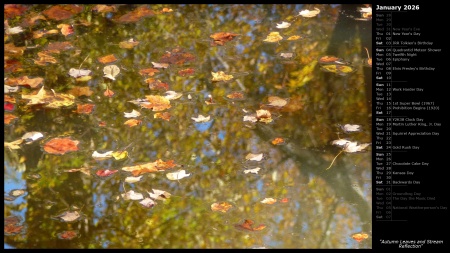 Autumn Leaves and Stream Reflection