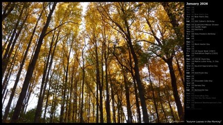 Autumn Leaves in the Morning