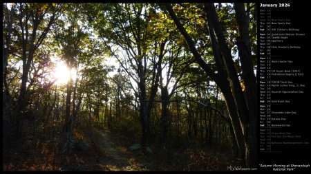 Autumn Morning at Shenandoah National Park