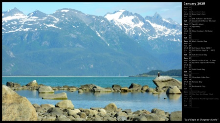 Bald Eagle at Skagway Alaska