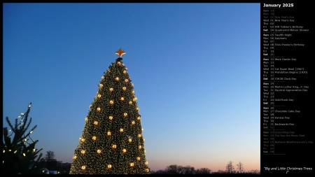 Big and Little Christmas Trees I