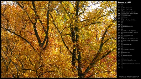 Branches of Yellow Leaves