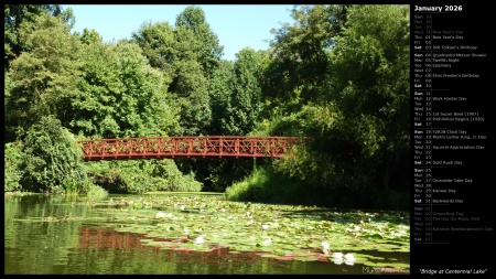 Bridge at Centennial Lake