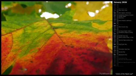 Colors of the Maple Leaf