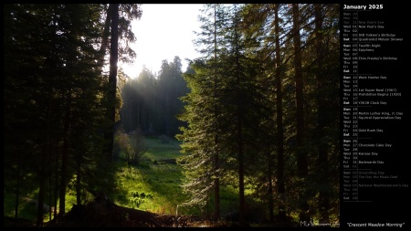 Crescent Meadow Morning