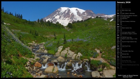 Edith Creek at Mount Rainier National Park