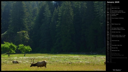 Elk Meadow