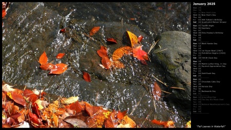 Fall Leaves in Waterfall